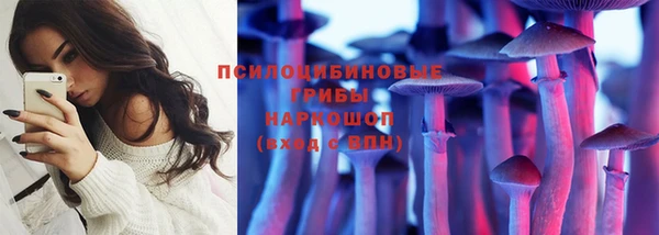 гашик Липки