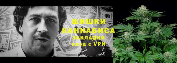 дурь Лиски