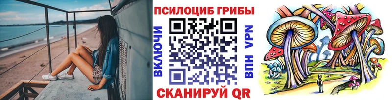 Галлюциногенные грибы Psilocybe  Евпатория 