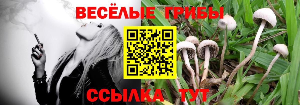 Евпатория  Конопля  Лсд 25  ГАШИШ  Вход с VPN  Кокаин  Мефедрон  